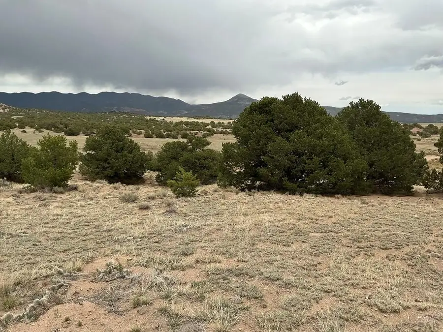 TBD Highway 69, Gardner, CO 81040 - #2