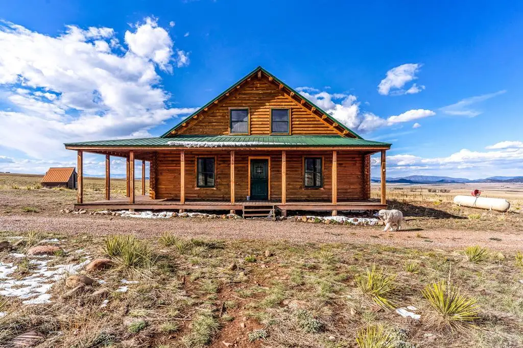 233 Prairie Rd., Westcliffe, CO 81252 - #1