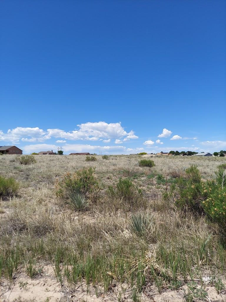 1069 S Limestone Lane, Pueblo West, CO 81007 - #3