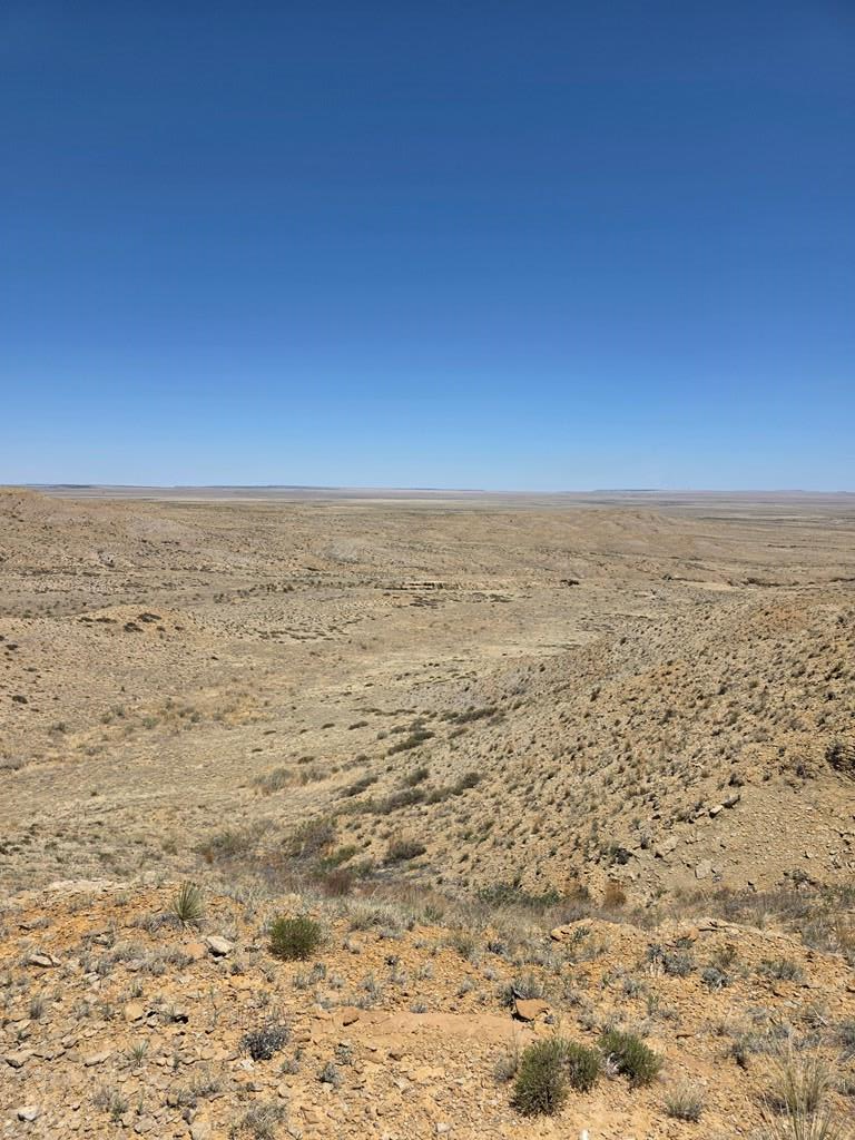 TBD County Rd 52, Model, CO 81059 - #2