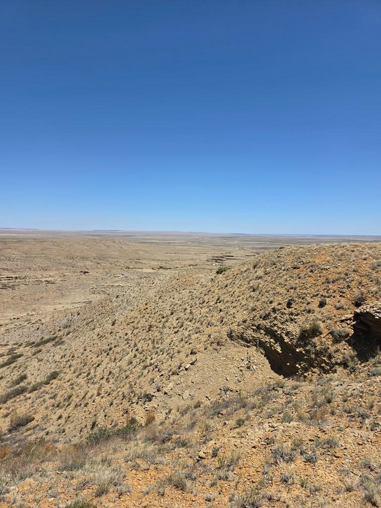 TBD County Rd 52, Model, CO 81059 - #3