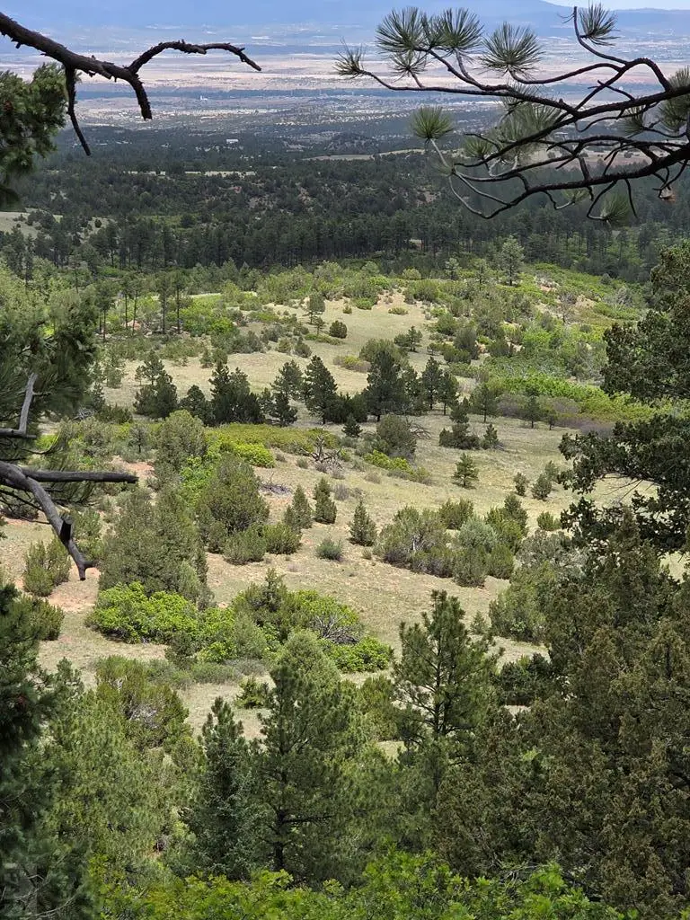 TBD County Road 15, Florence, CO 81226 - #1