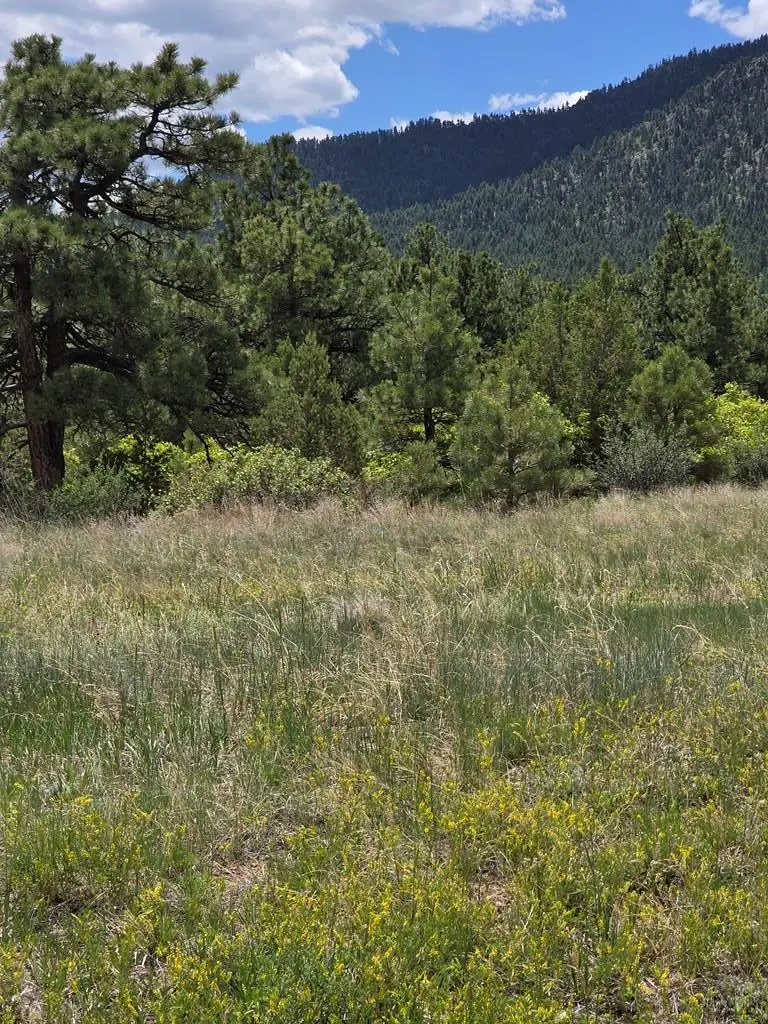 TBD County Road 15, Florence, CO 81226 - #2