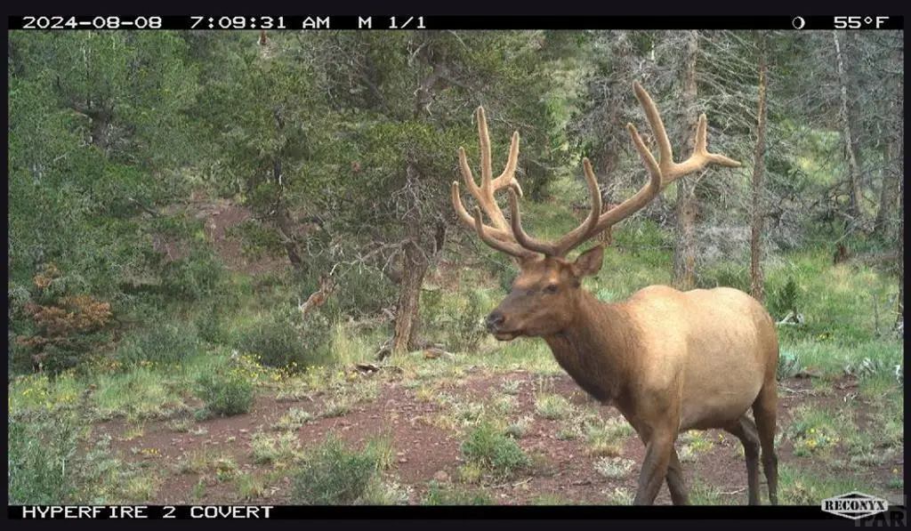 TBD Spanish Peaks Dr, Aguilar, CO 81020 - #1