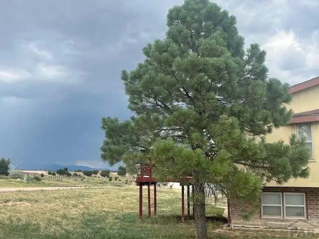 1195 W Meadowmoor Dr, Pueblo West, CO 81007 - #2