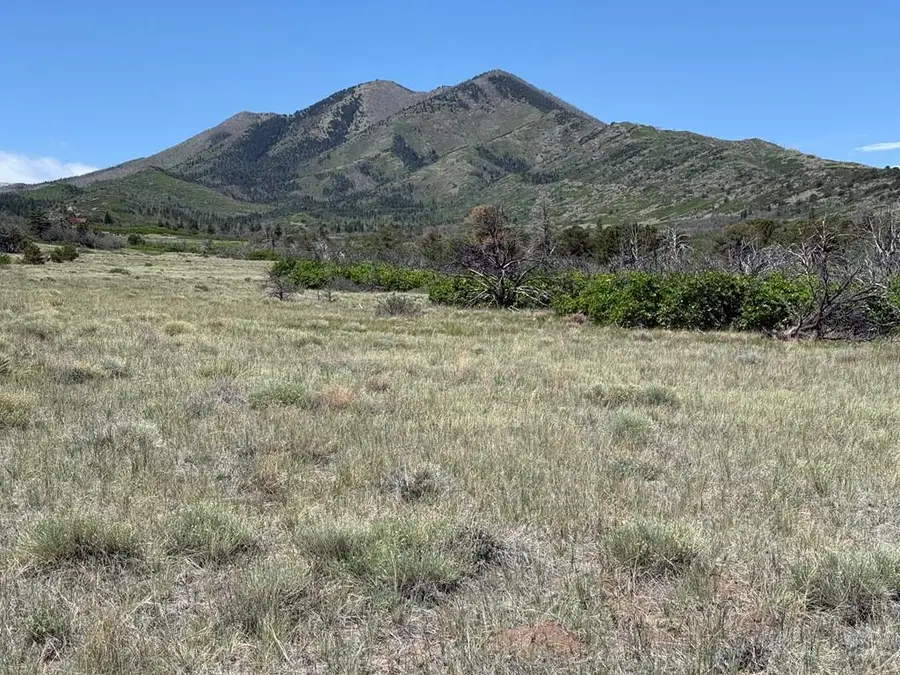 TBD Bear Springs Rd, Walsenburg, CO 81089 - #2
