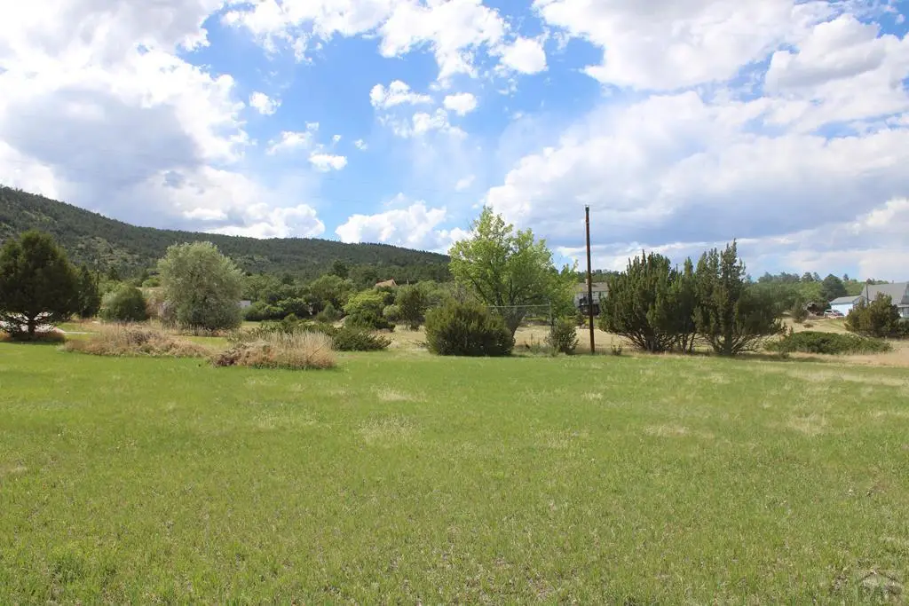 Lot 209 White Antelope Drive, Colorado City, CO 81019 - #1