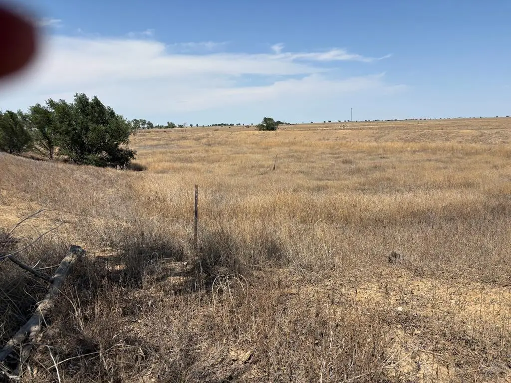 Address Withheld By Seller, Ordway, CO 81063 - #1