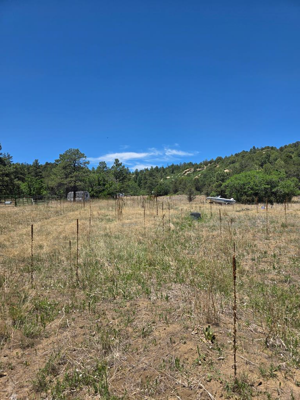 17775 County Rd 51, Bon Carbo, CO 81024