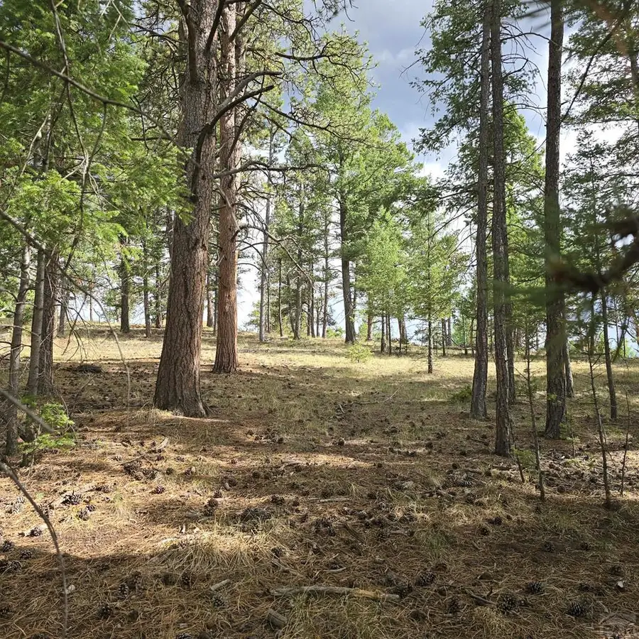 182 Wasatch Ln, Florissant, CO 80816 - #2