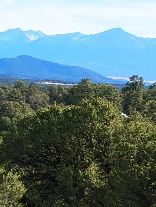 1105 Owens Ln, Cotopaxi, CO 81252