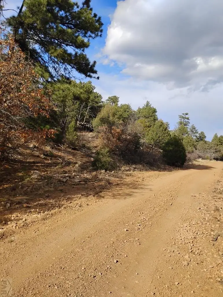 1105 Owens Ln, Cotopaxi, CO 81252 - #3
