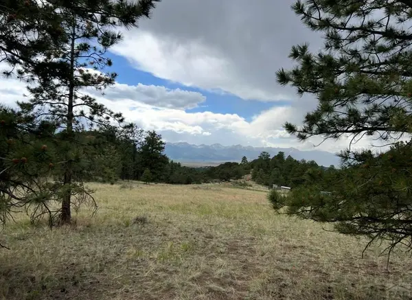 Lot 52 Tamarac Rd, Silver Cliff, CO 81252