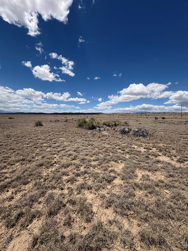 222 & 224 Turkey Ridge Ranch, Walsenburg, CO 81089