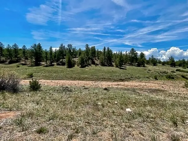 7080 Copper Gulch Road, Cotopaxi, CO 81223 - #2
