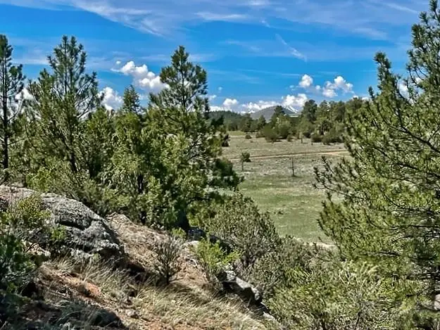 7080 Copper Gulch Road, Cotopaxi, CO 81223 - #3