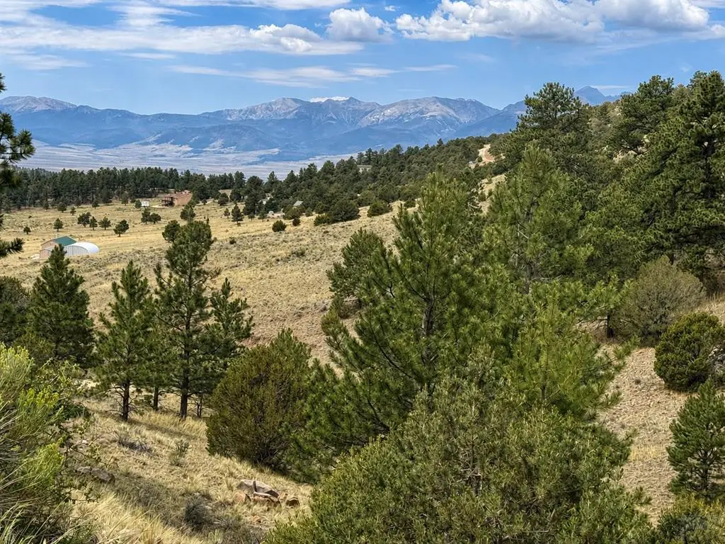 1054 Keepsake Loop, Westcliffe, CO 81252 - #1