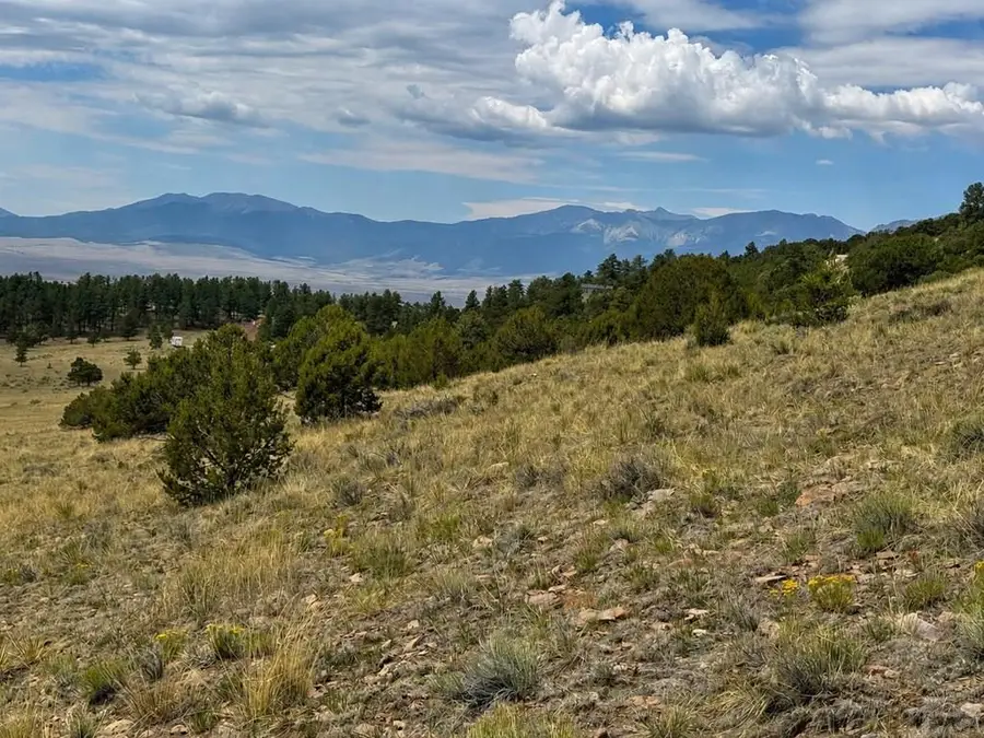 1054 Keepsake Loop, Westcliffe, CO 81252 - #3