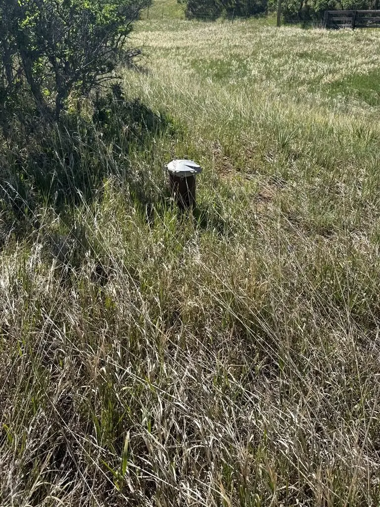 TBD Pine Dr, Rye, CO 81069 - #3