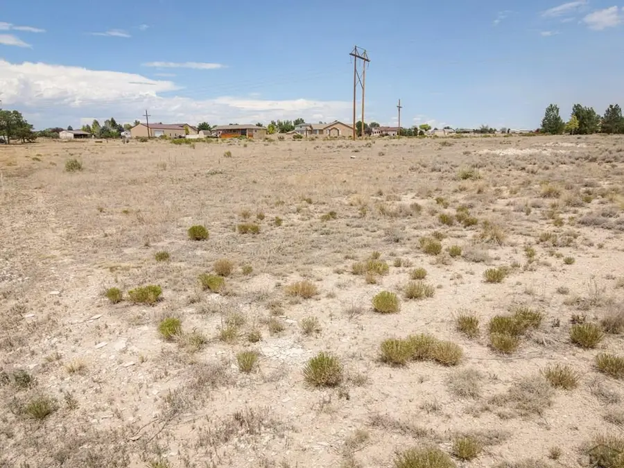 1316 W Avenida Del Oro, Pueblo West, CO 81007 - #2