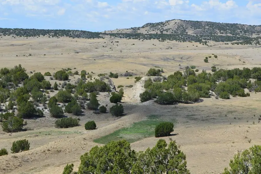 TBD Claymine Rd, Rye, CO 81069 - #2