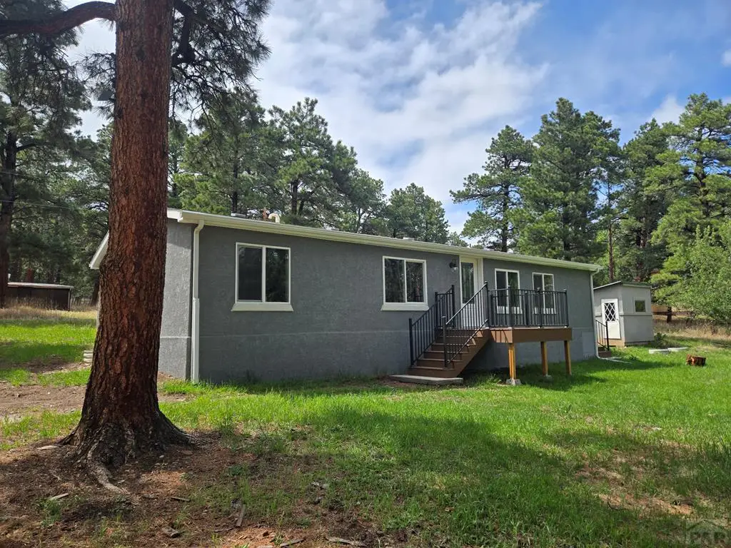 8229 Green Lane, Rye, CO 81069 - #1
