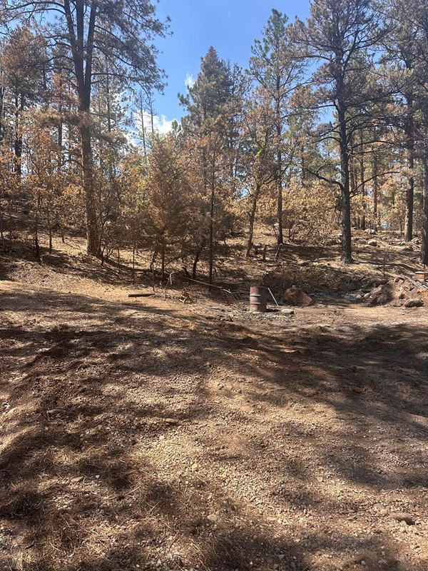 9087 S Pine Dr, Beulah, CO 81023