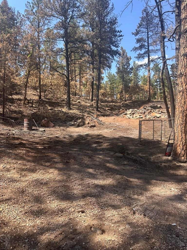 9087 S Pine Dr, Beulah, CO 81023 - #2
