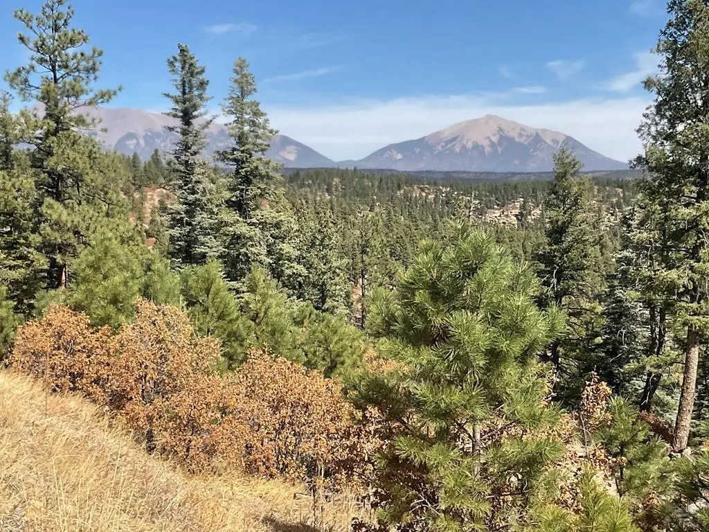 Address Withheld By Seller, Weston, CO 81091 - #1