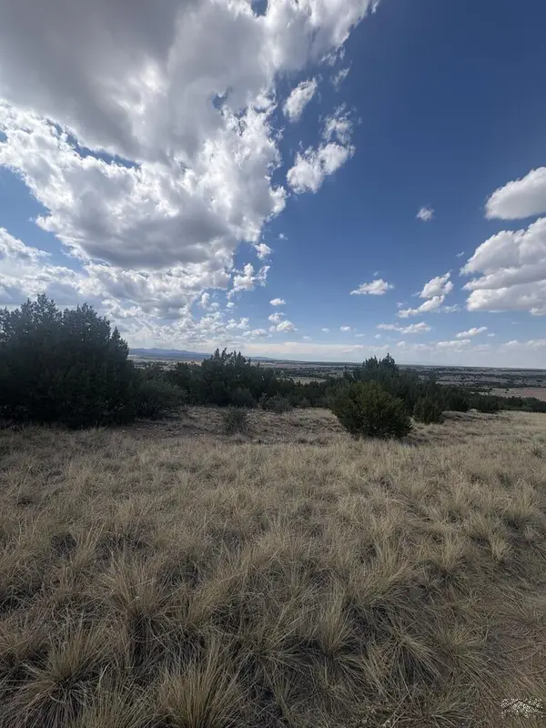 Lot 558 Shavano Drive, Colorado City, CO 81019