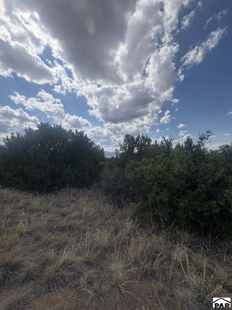 Lot 558 Shavano Drive, Colorado City, CO 81019 - #2