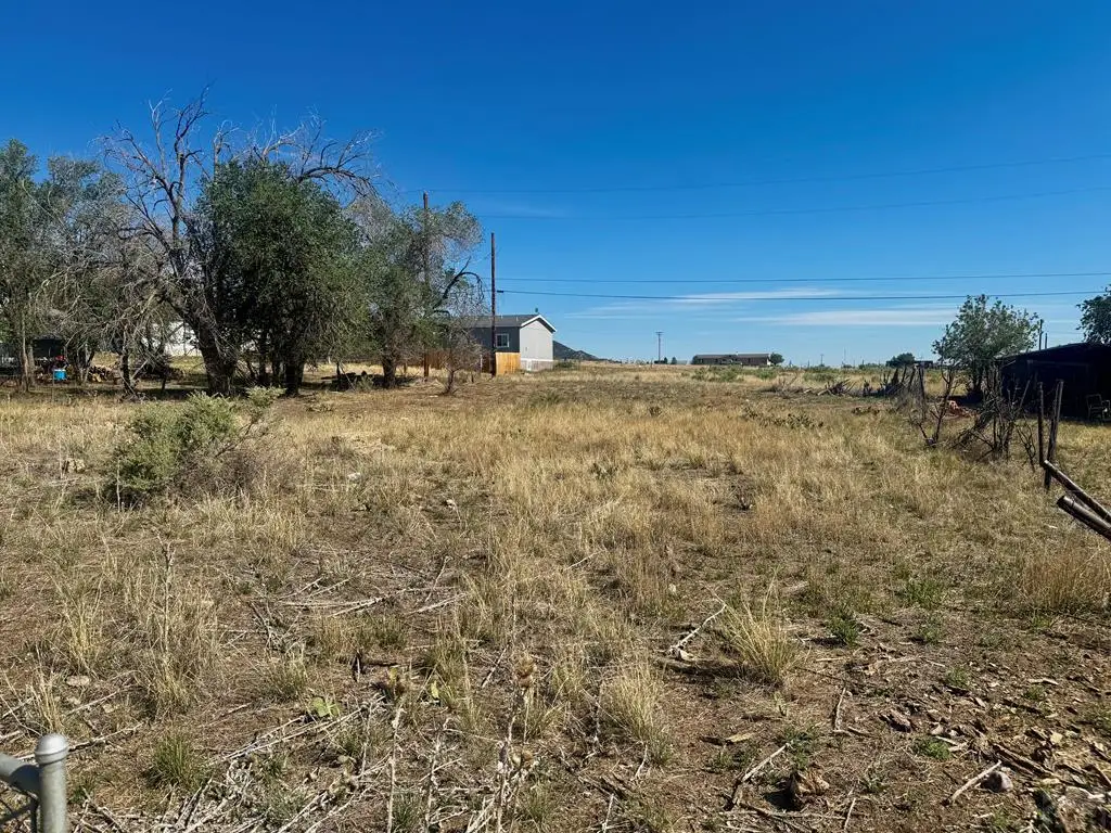 TBD Maple St, Aguilar, CO 81020 - #1