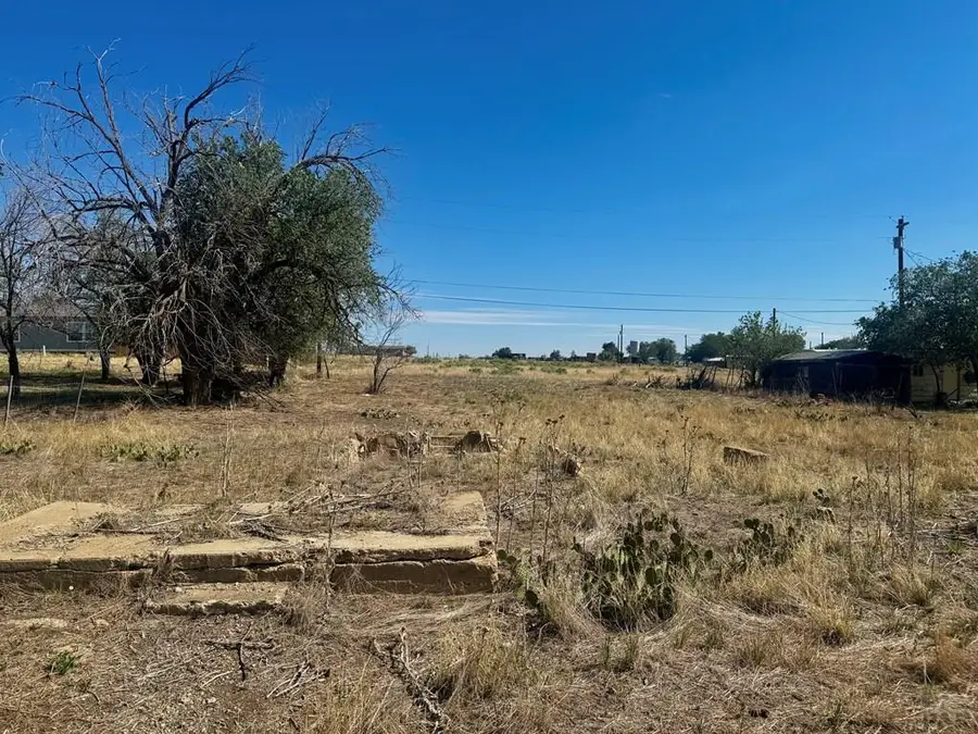 TBD Maple St, Aguilar, CO 81020 - #2