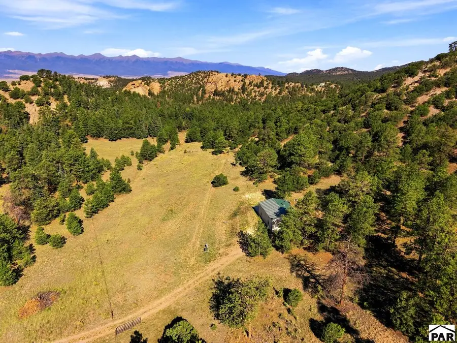 2323 Cr 323, Westcliffe, CO 81252 - #3