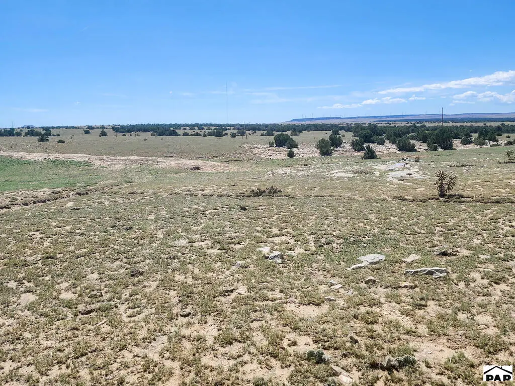 N/A County Road 124, Walsenburg, CO 81089 - #1