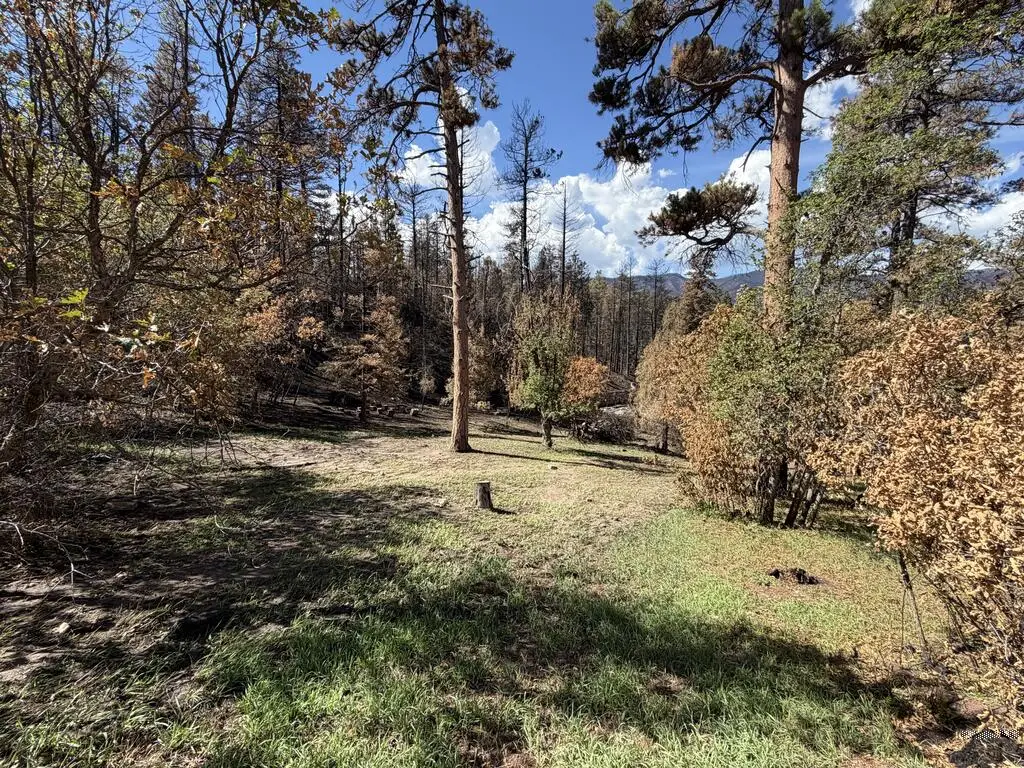 8890 Ula Trail, Beulah, CO 81023 - #1