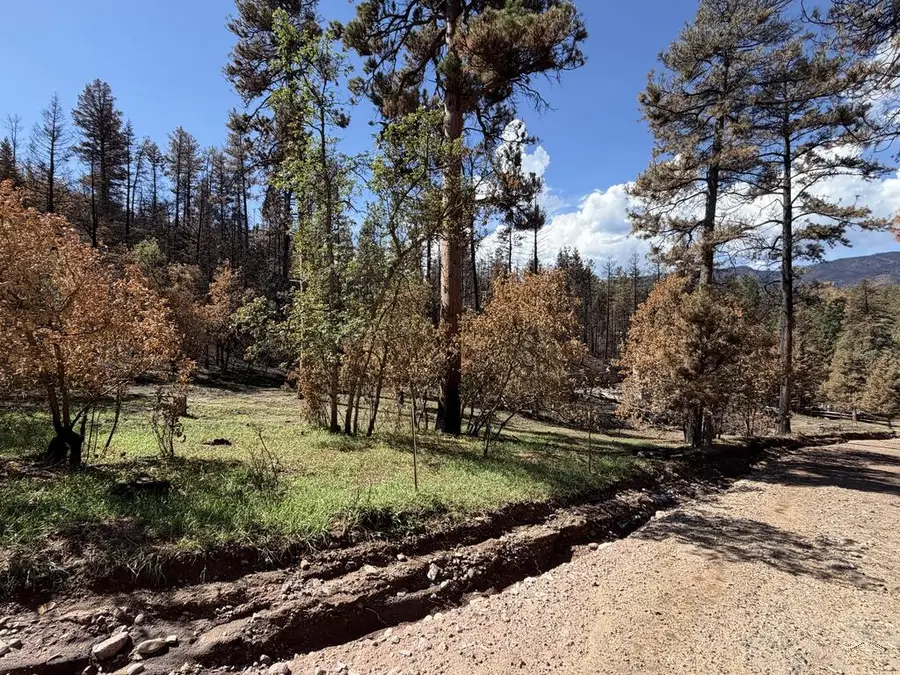 8890 Ula Trail, Beulah, CO 81023 - #2