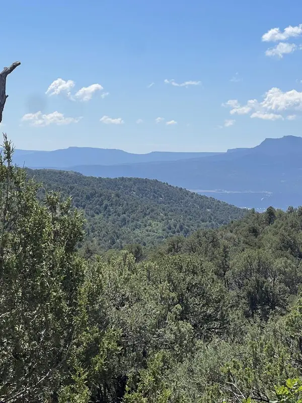 Lot 4 Peacock Rd, Trinidad, CO 81082