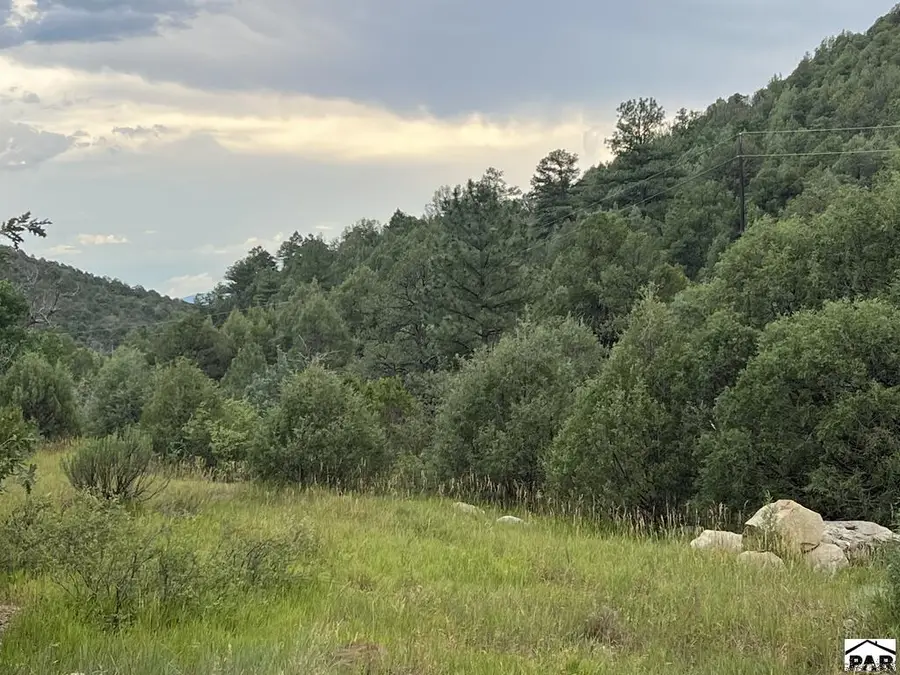 Lot 4 Peacock Rd, Trinidad, CO 81082 - #2