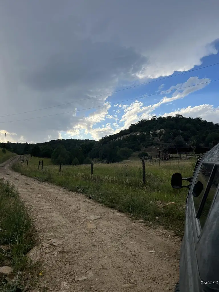 Lot 4 Peacock Rd, Trinidad, CO 81082 - #3