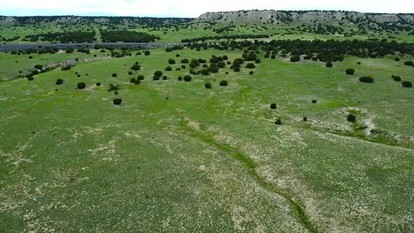 Lot 110 Locomotive Ct, Rye, CO 81069