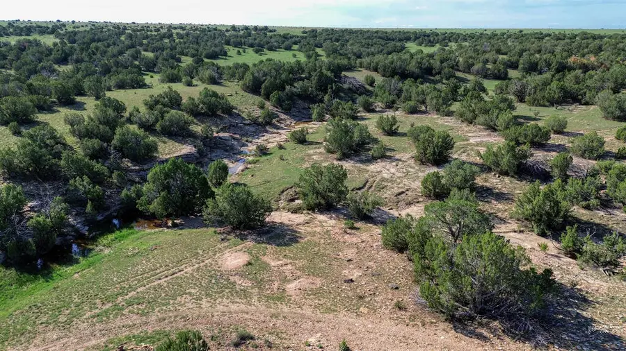 94201 County Rd 44, Kim, CO 81049 - #2