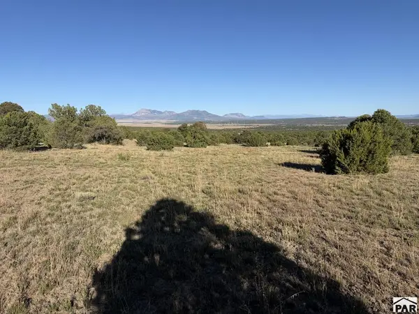 Lot 141 River Ridge Ranch, Walsenburg, CO 81089