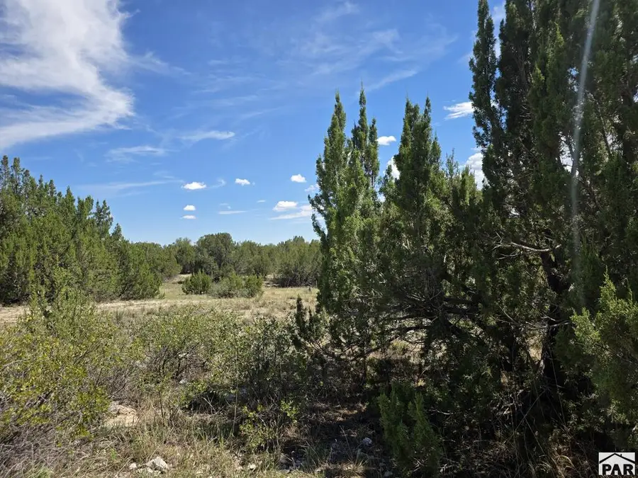 Lot 131 Blue Spruce Dr, Colorado City, CO 81019 - #3