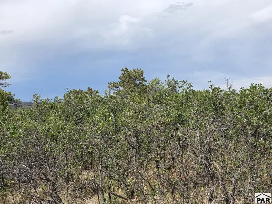 Lot 53 Elbert Drive, Colorado City, CO 81019 - #3