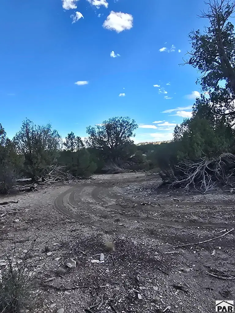 TBD W Pine Bluff Dr, Pueblo, CO 81005 - #3