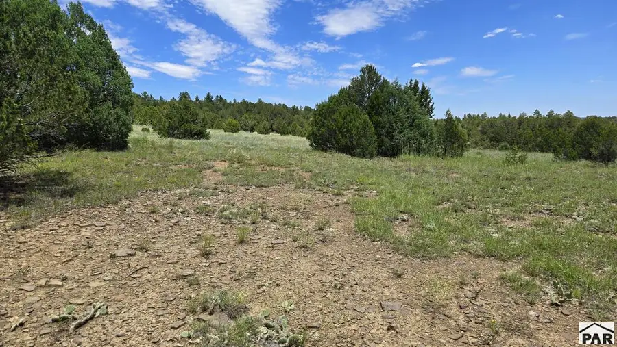 20 Colorado Mountain Lake Estates, Trinidad, CO 81082 - #3