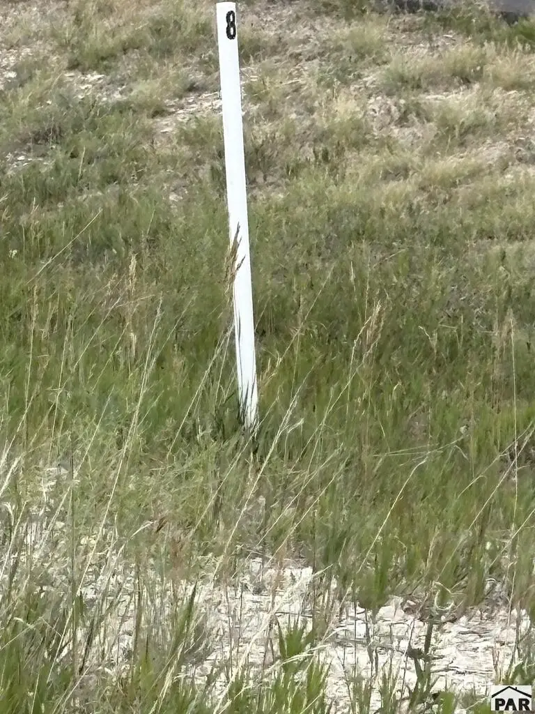 LOT 8 Lago Vista Blvd, Colorado City, CO 81019 - #1