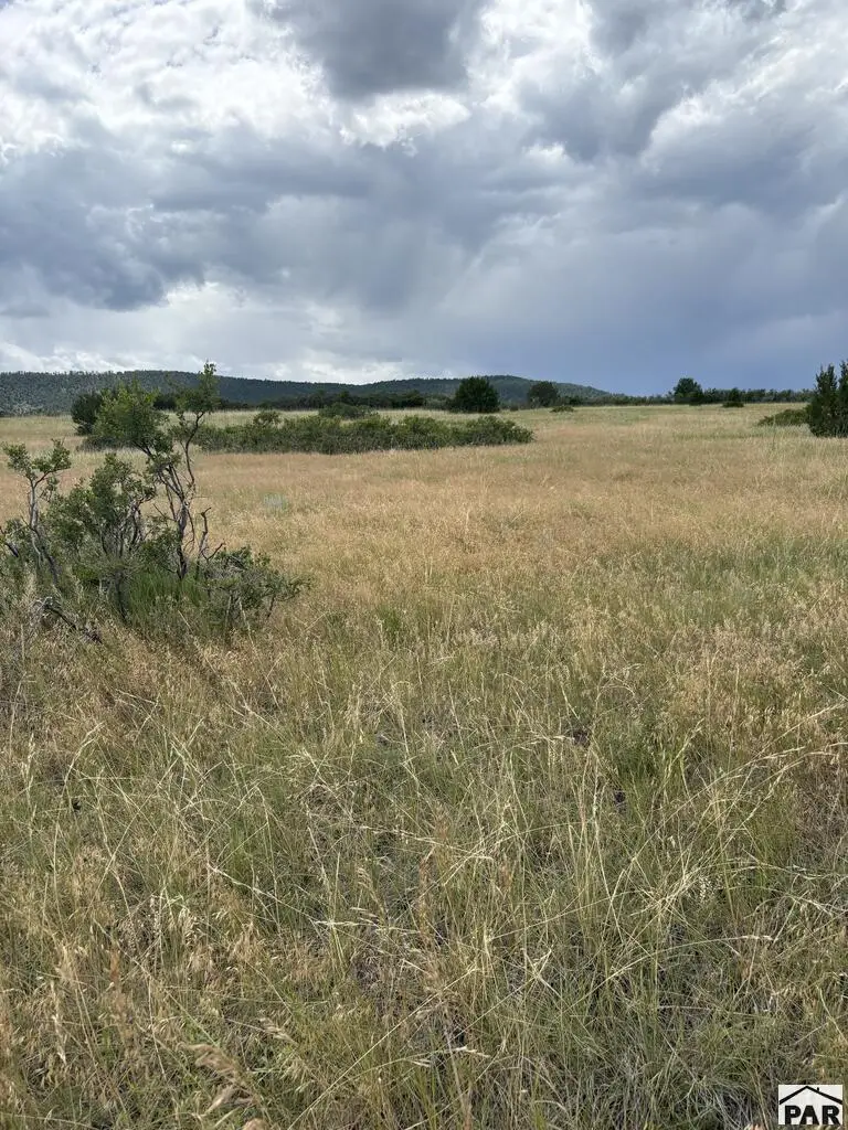 LOT 8 Lago Vista Blvd, Colorado City, CO 81019 - #3