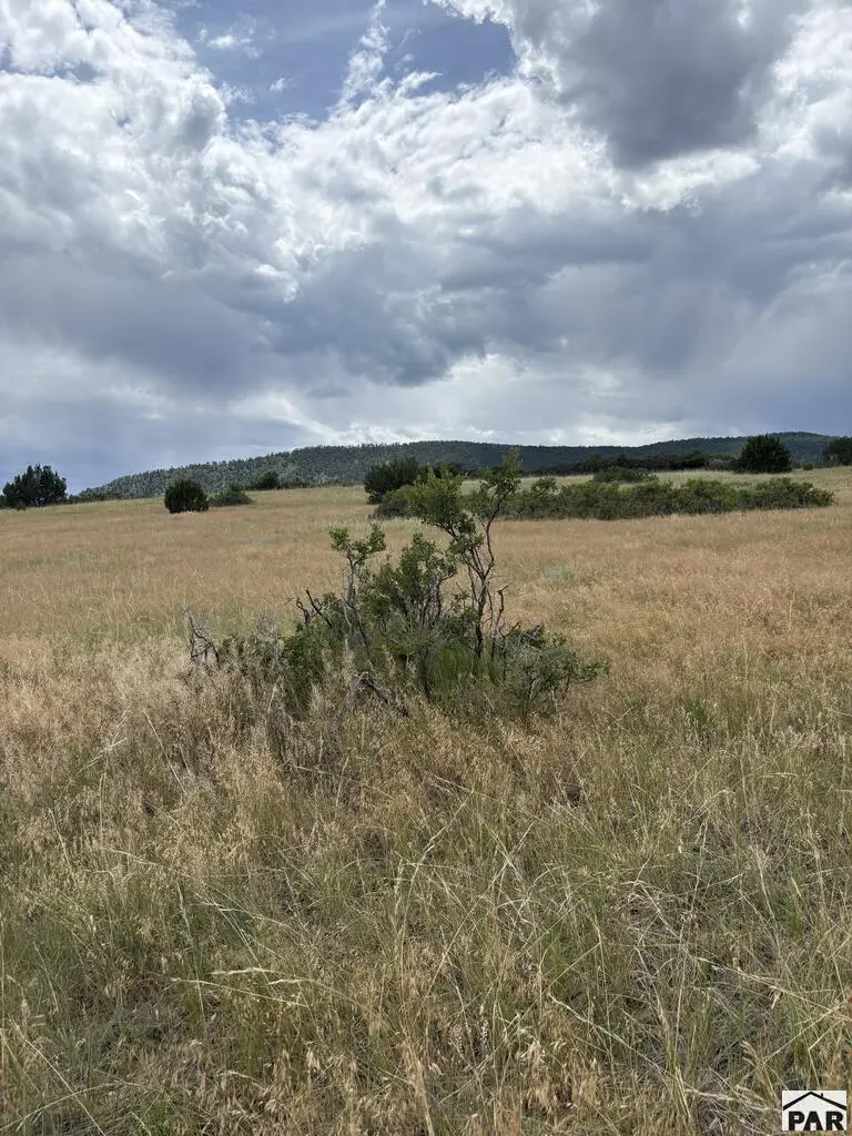 lot 133 Ghost River Ranch, Rye, CO 81069 - #1
